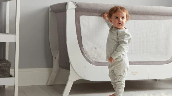 Toddler Milestone Moments